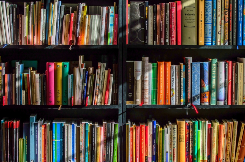 ecommerce-ST MARTIN D ENTRAUNES-min_books_bookstore_book_reading_shop_writer_sale_books_read-822866